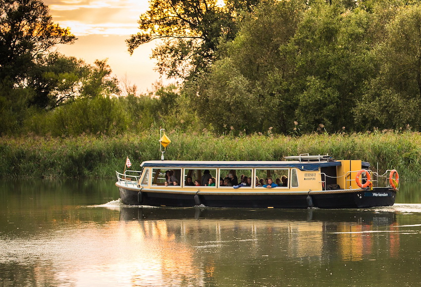 Fluisterboot in de Biesbosch